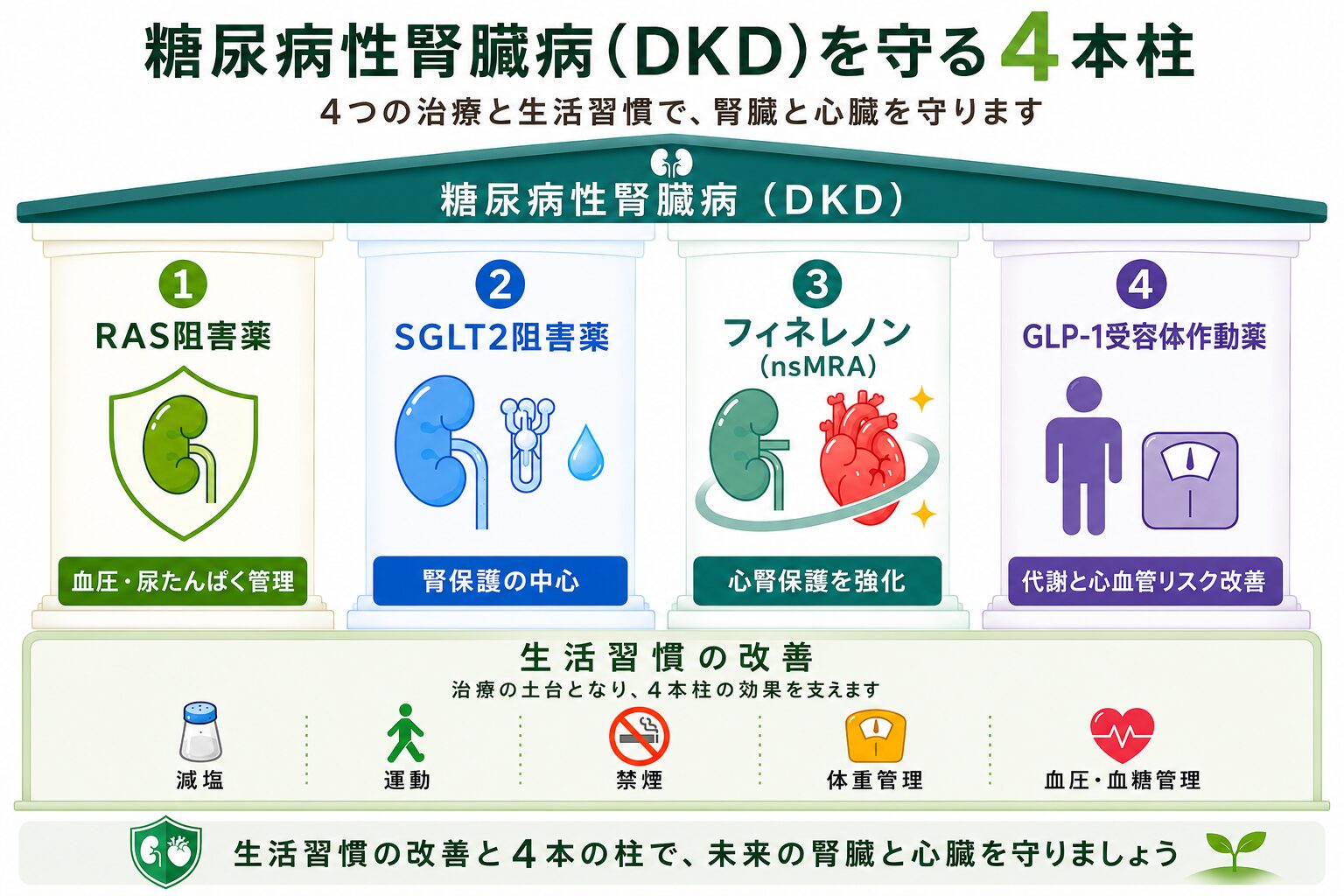 糖尿病性腎臓病を守る4つの治療の柱：RAS阻害薬・SGLT2阻害薬・フィネレノン（nsMRA）・GLP-1受容体作動薬の図解